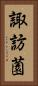 諏訪薗 Vertical Portrait