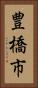 豊橋市 Vertical Portrait