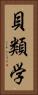 貝類学 Vertical Portrait