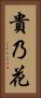 貴乃花 Vertical Portrait