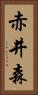 赤井森 Vertical Portrait