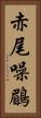 赤尾噪鶥 Vertical Portrait