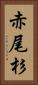 赤尾杉 Vertical Portrait
