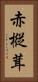 赤樅茸 Vertical Portrait