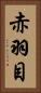 赤羽目 Vertical Portrait