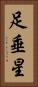 足垂星 Vertical Portrait