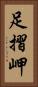 足摺岬 Vertical Portrait