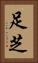 足芝 Vertical Portrait