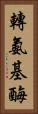 轉氨基酶 Vertical Portrait