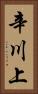 辛川上 Vertical Portrait