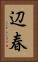 辺春 Vertical Portrait