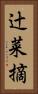 辻菜摘 Vertical Portrait