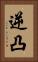 逆凸 Vertical Portrait