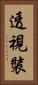 透視裝 Vertical Portrait