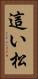 這い松 Vertical Portrait