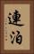 連泊 Vertical Portrait