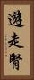 遊走腎 Vertical Portrait