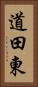 道田東 Vertical Portrait