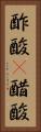 酢酸(P) Vertical Portrait
