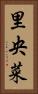 里央菜 Vertical Portrait