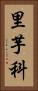 里芋科 Vertical Portrait