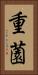 重薗 Vertical Portrait