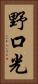 野口光 Vertical Portrait