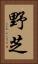 野芝 Vertical Portrait