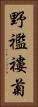 野襤褸菊 Vertical Portrait