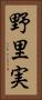 野里実 Vertical Portrait