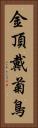 金頂戴菊鳥 Vertical Portrait