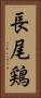 長尾鶏 Vertical Portrait