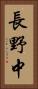 長野中 Vertical Portrait