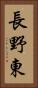 長野東 Vertical Portrait