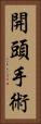 開頭手術 Vertical Portrait