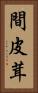 間皮茸 Vertical Portrait