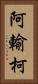 阿輸柯 Vertical Portrait