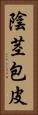 陰茎包皮 Vertical Portrait