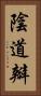 陰道瓣 Vertical Portrait