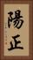 陽正 Vertical Portrait