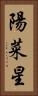 陽菜星 Vertical Portrait