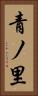 青ノ里 Vertical Portrait