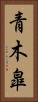 青木皐 Vertical Portrait