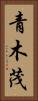 青木茂 Vertical Portrait