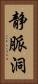 静脈洞 Vertical Portrait