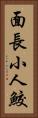 面長小人鮫 Vertical Portrait