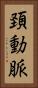 頚動脈 Vertical Portrait