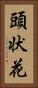 頭状花 Vertical Portrait