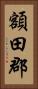 額田郡 Vertical Portrait