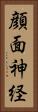 顔面神経 Vertical Portrait